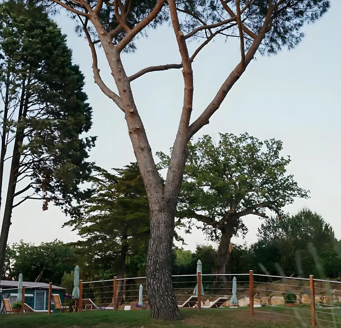 Podere Scoldasu - Diana Massa Marittima Farm stay